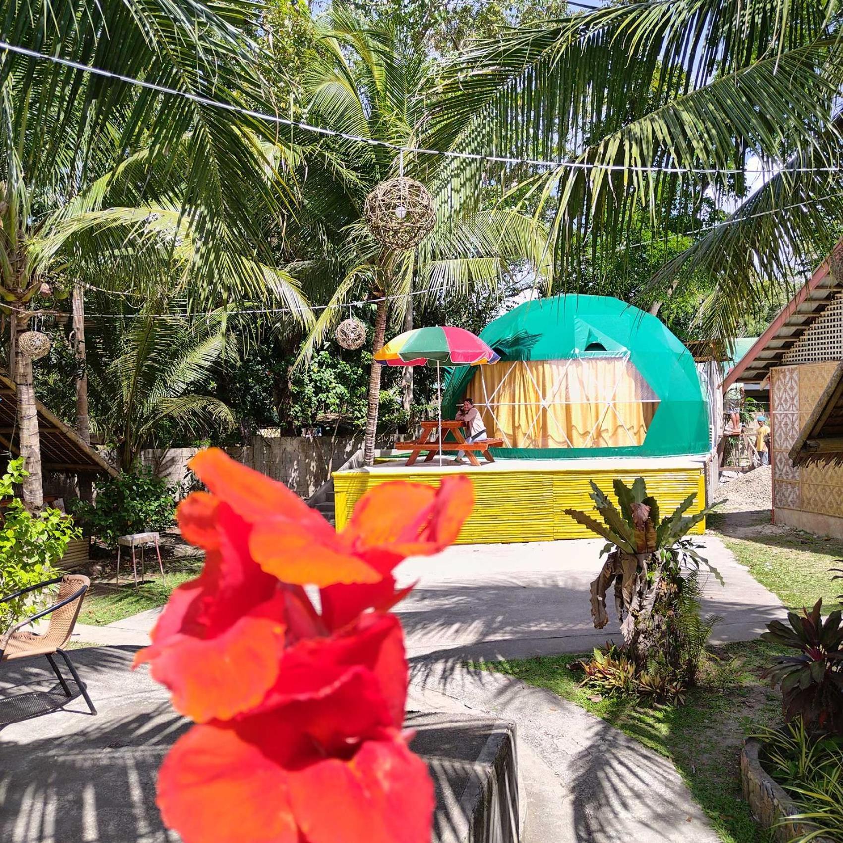 Eco Glamping Treehouses Closest Resort To All Tourist Attractions Balilihan Zewnętrze zdjęcie